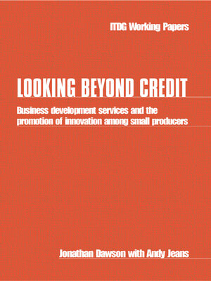cover image of Looking Beyond Credit